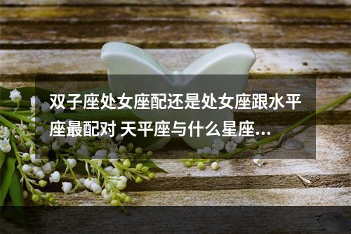 双子座处女座配还是处女座跟水平座最配对 天平座与什么星座最配