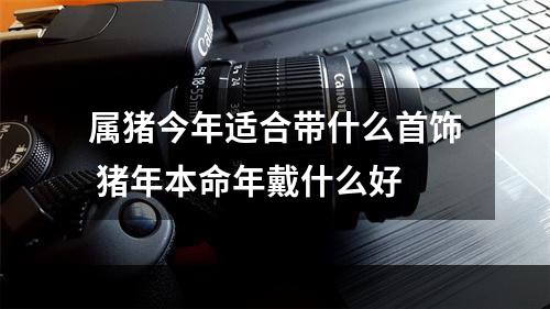 属猪今年适合带什么首饰 猪年本命年戴什么好
