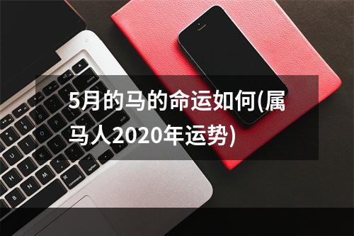 5月的马的命运如何(属马人2020年运势)