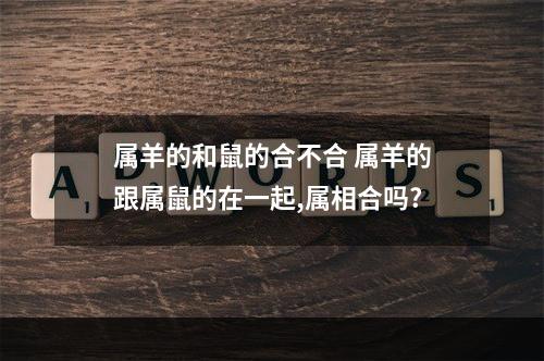 属羊的和鼠的合不合 属羊的跟属鼠的在一起,属相合吗?